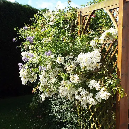 B&B Boherna